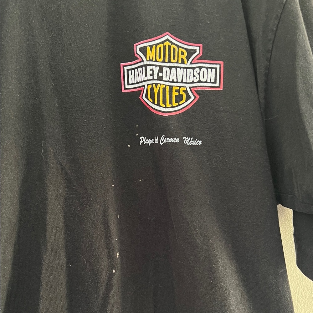 Harley-Davidson Black Tee with Tiger and Flames - Picture 3 of 5